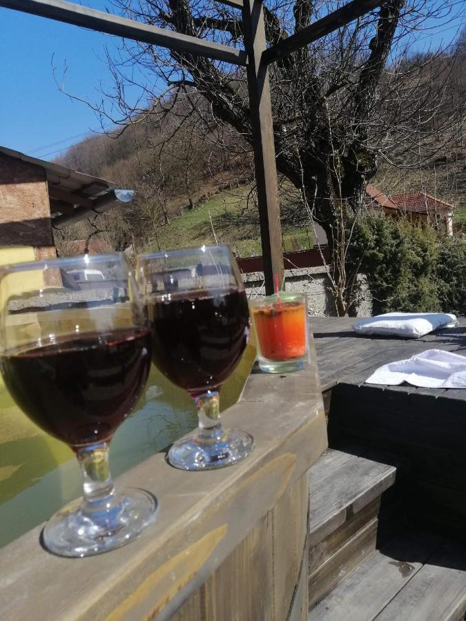 Casa De Vacanta Silvia Vărmaga Екстериор снимка
