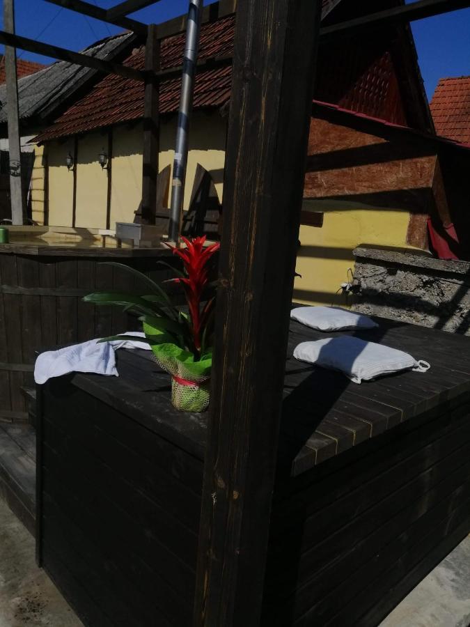Casa De Vacanta Silvia Vărmaga Екстериор снимка