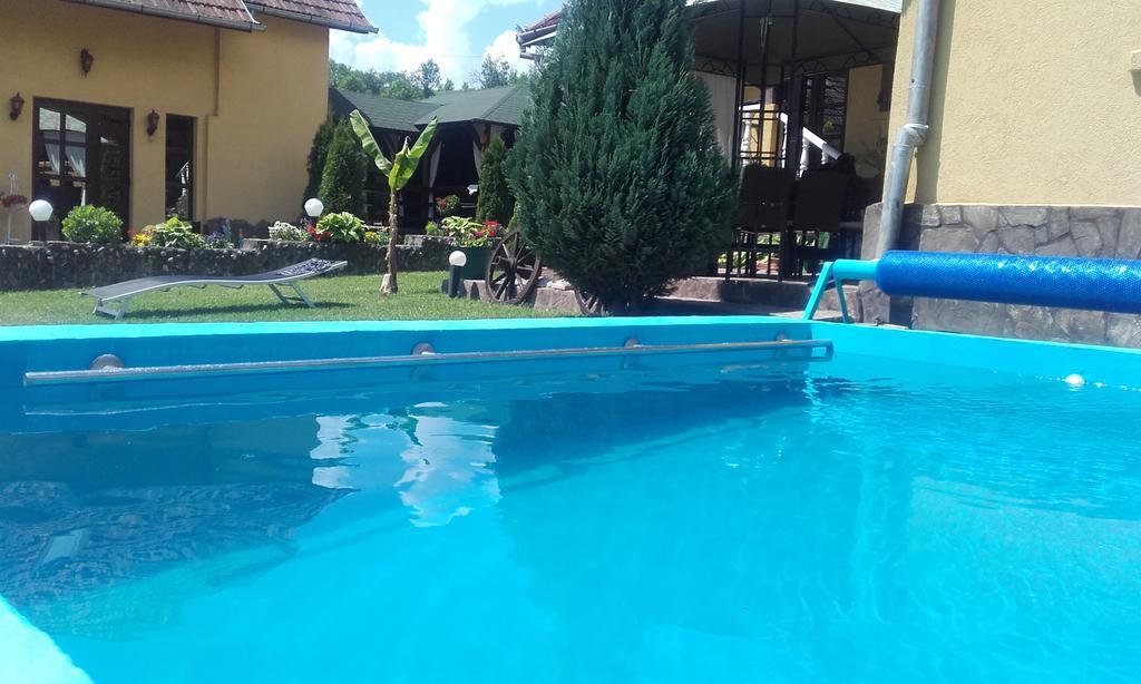 Casa De Vacanta Silvia Vărmaga Екстериор снимка