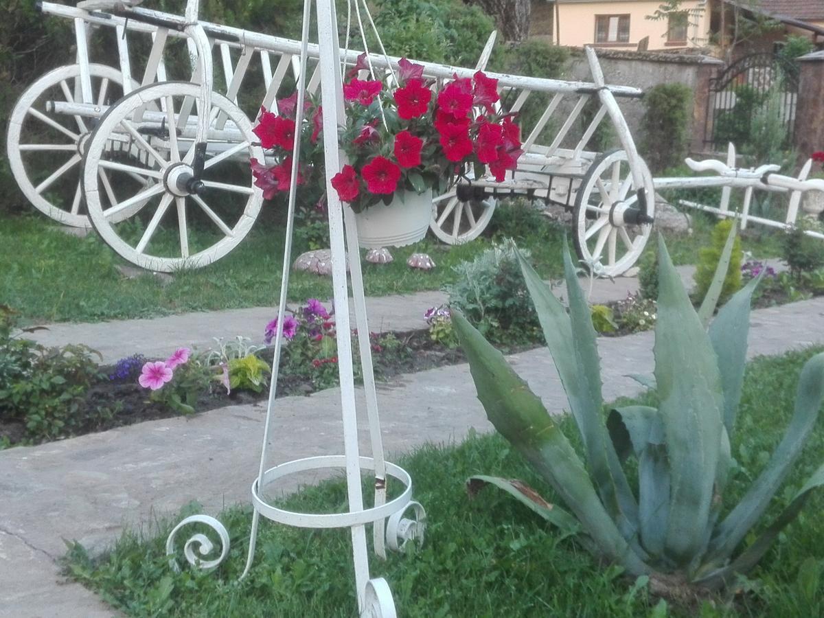 Casa De Vacanta Silvia Vărmaga Екстериор снимка