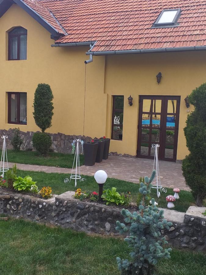 Casa De Vacanta Silvia Vărmaga Екстериор снимка
