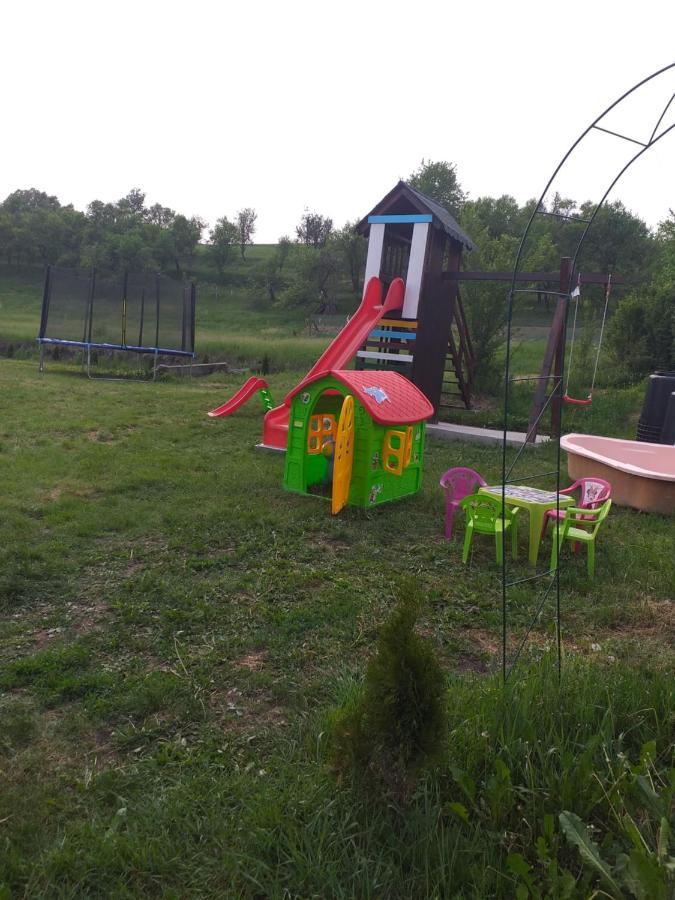 Casa De Vacanta Silvia Vărmaga Екстериор снимка